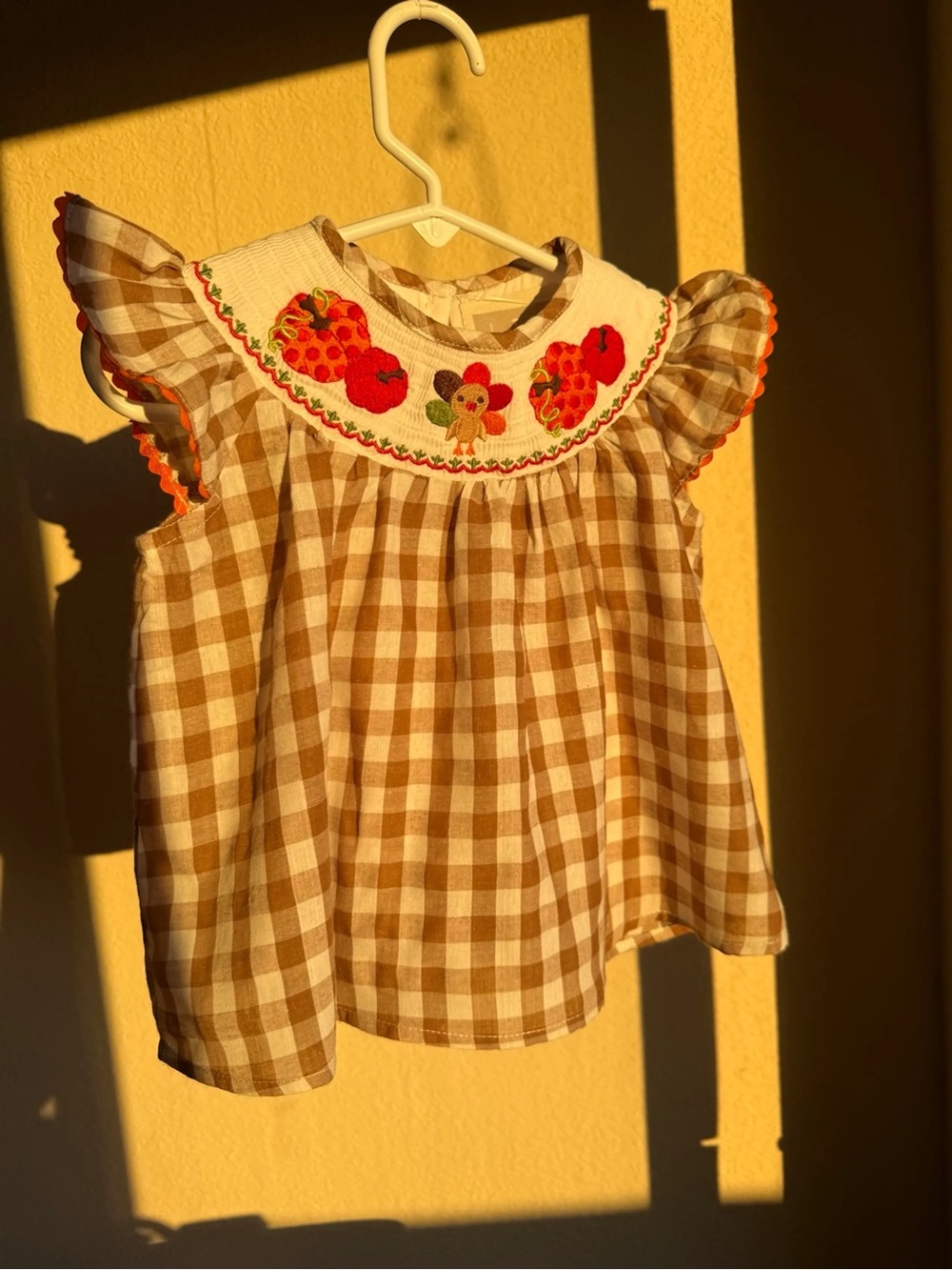 Lil Cactus Girls Brown Gingham Smocked Dress